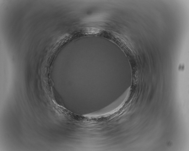 X0000099501441200805291118