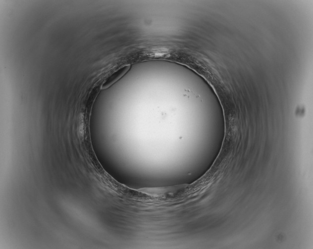 X0000099501442200805291118