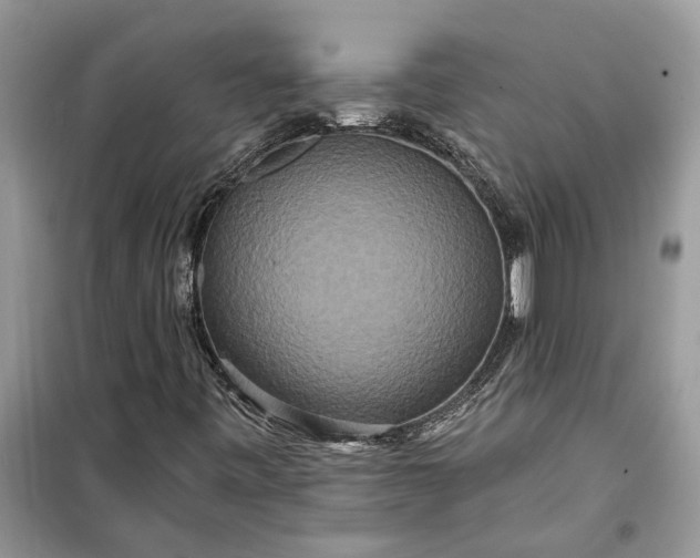 X0000099501443200805291118
