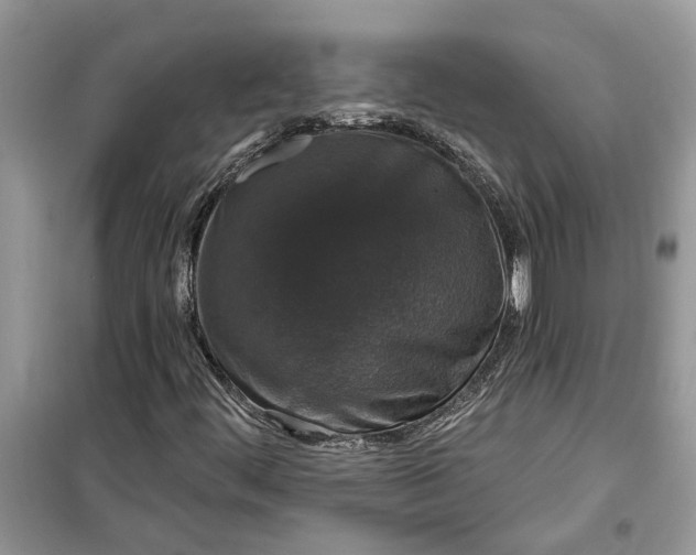X0000099501444200805291118