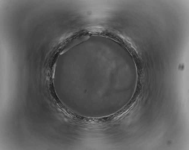 X0000099501445200805291118