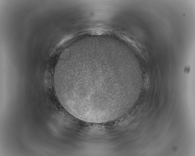 X0000099501446200805291118