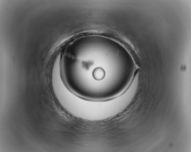X0000099501448200805291118
