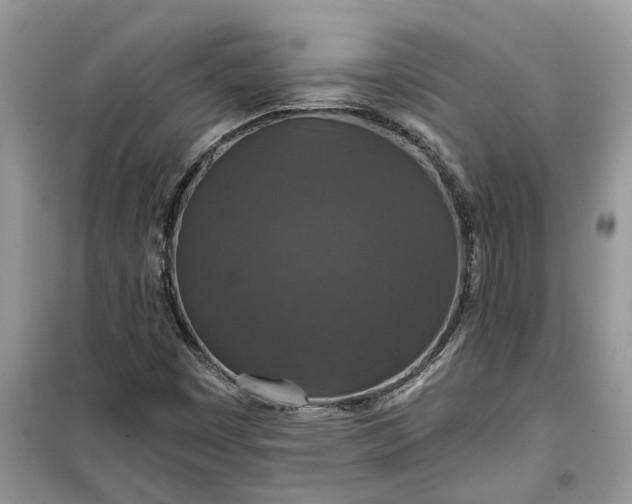 X0000099501449200805291118