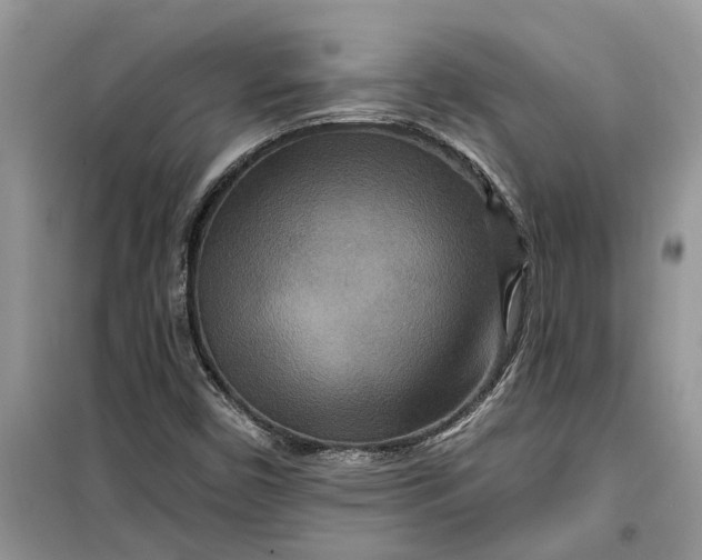X0000099501450200805291118
