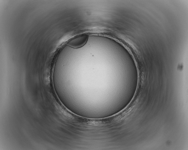 X0000099501451200805291118