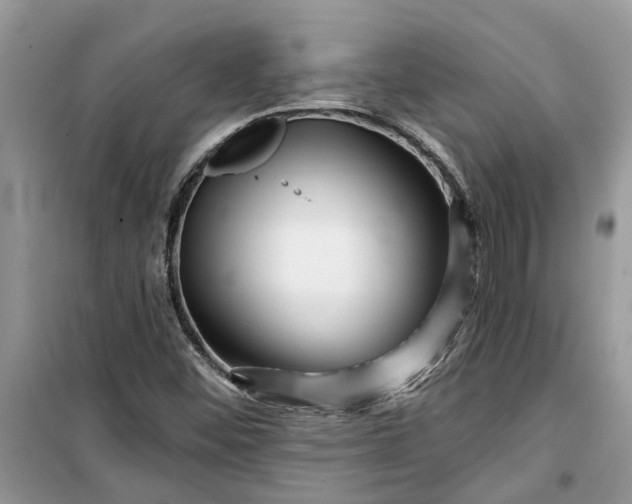 X0000099501452200805291118