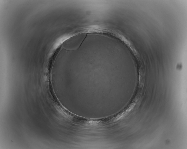 X0000099501453200805291118