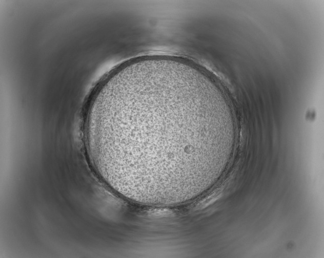 X0000099501454200805291118