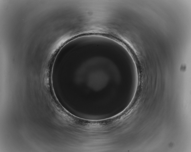 X0000099501455200805291118
