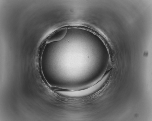 X0000099501456200805291118