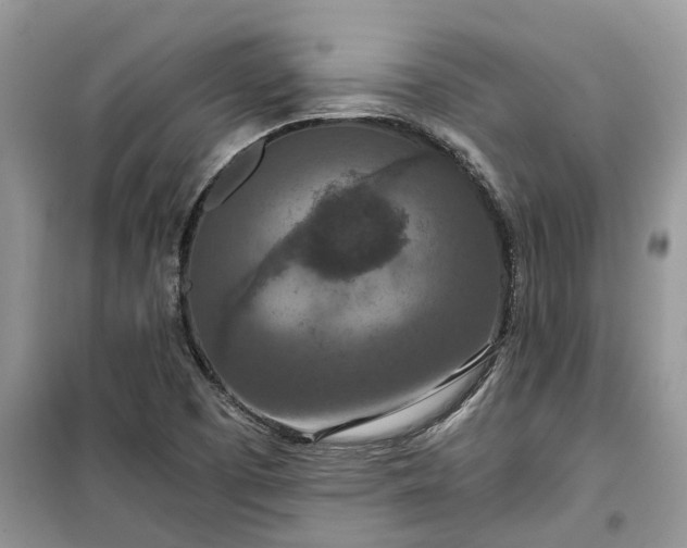 X0000099501457200805291118