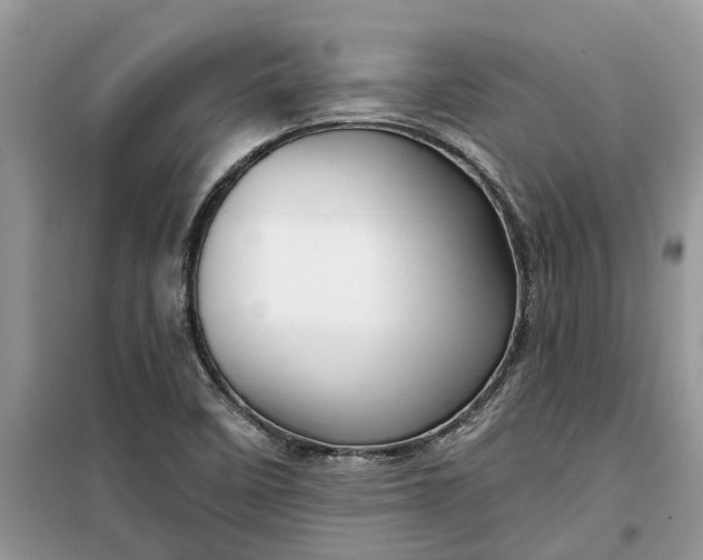 X0000099501458200805291117