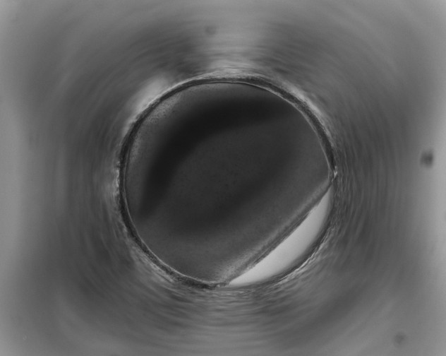 X0000099501459200805291117