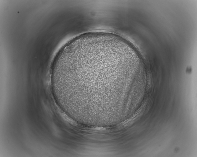 X0000099501462200805291117
