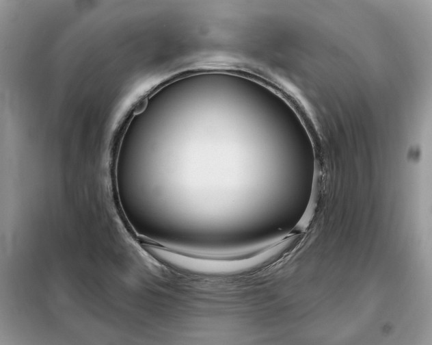 X0000099501464200805291117