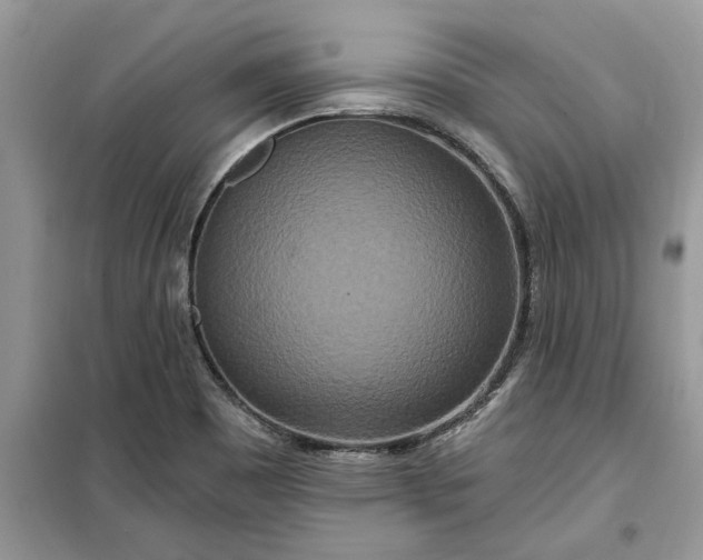 X0000099501465200805291117