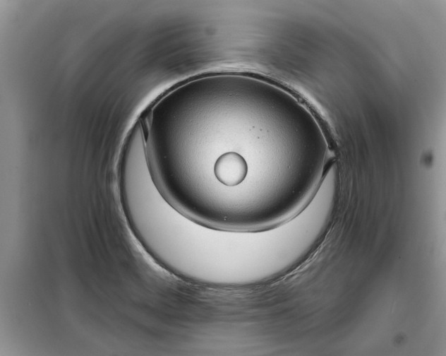 X0000099501468200805291117