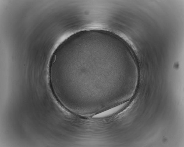 X0000099501469200805291117