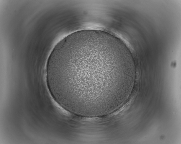 X0000099501471200805291117