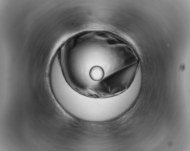 X0000099501472200805291117