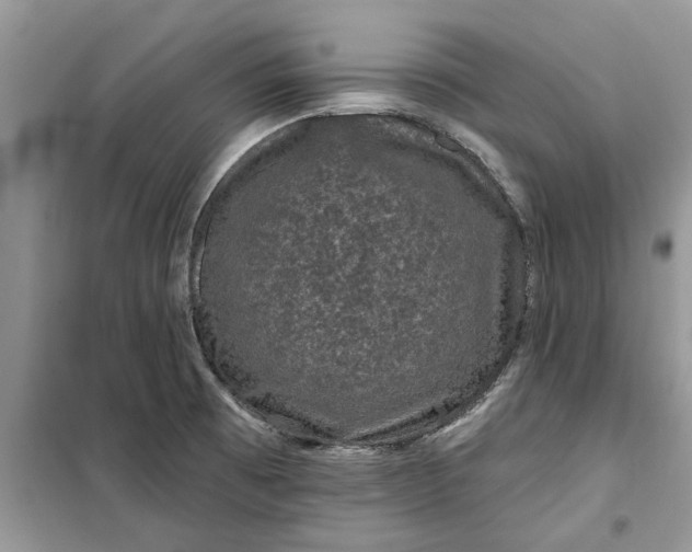 X0000099501473200805291117