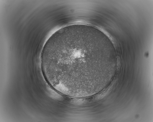 X0000099501474200805291117