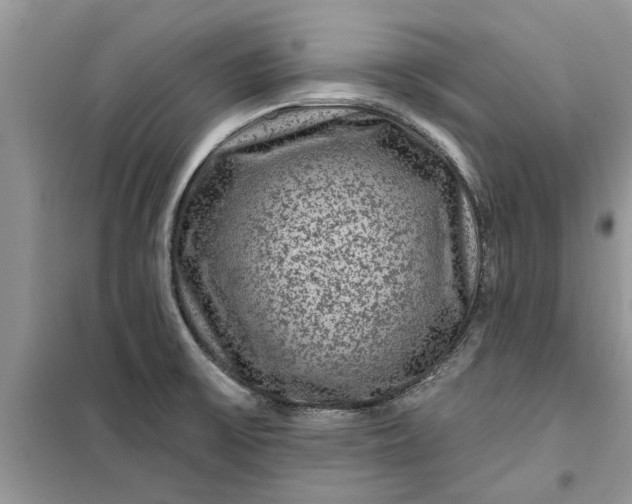X0000099501475200805291117