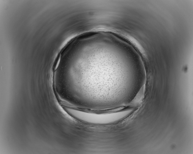 X0000099501476200805291117