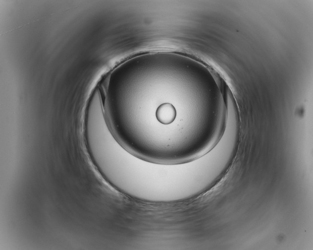 X0000099501477200805291117