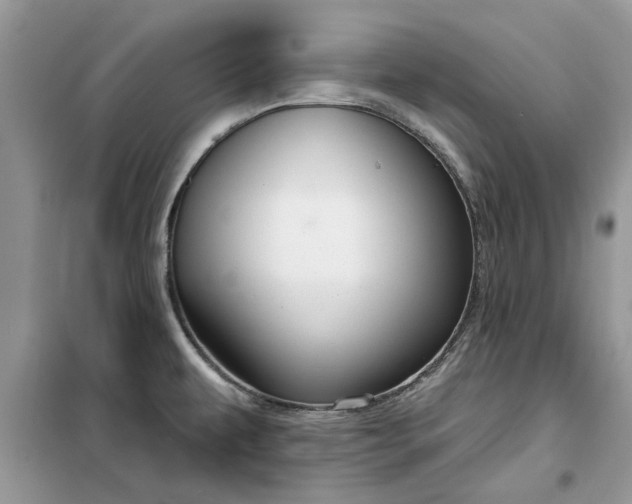 X0000099501479200805291117