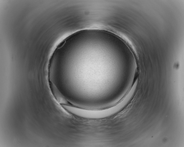 X0000099501480200805291117