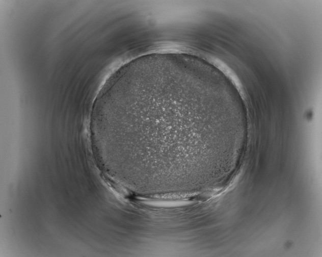 X0000099501481200805291117