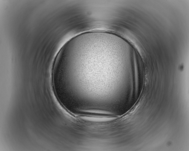 X0000099501483200805291117