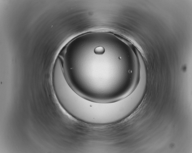 X0000099501484200805291117