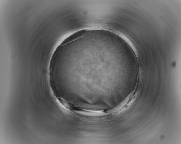 X0000099501485200805291117