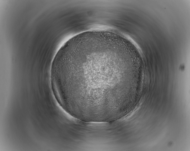 X0000099501487200805291117