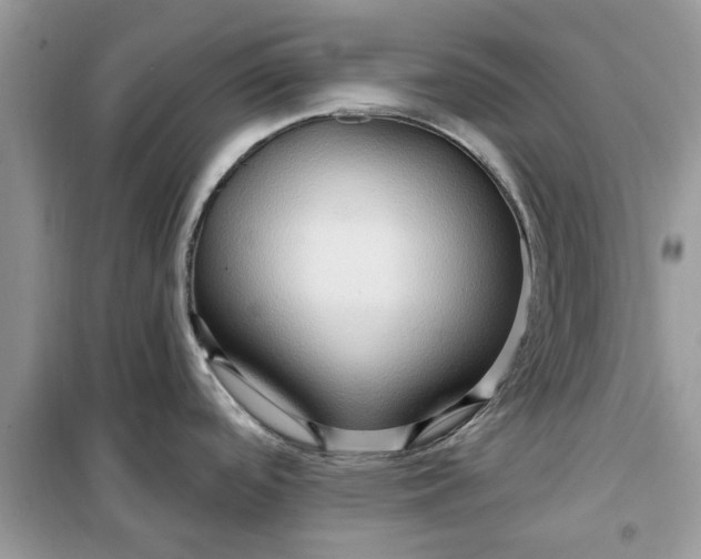 X0000099501488200805291117