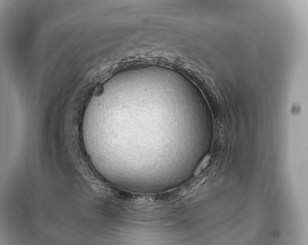 X0000099501489200805291116