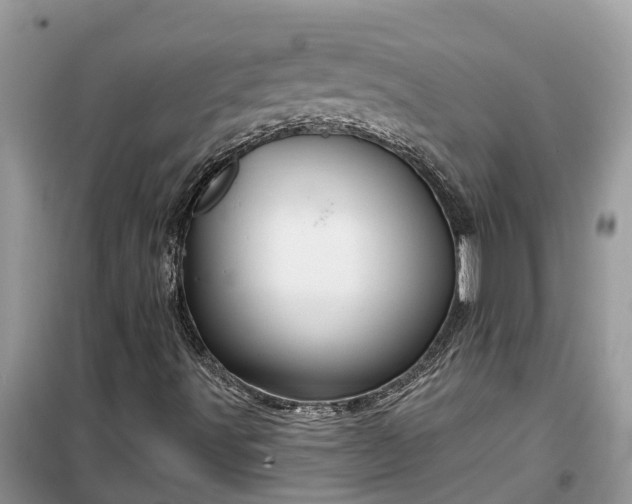 X0000099501491200805291116