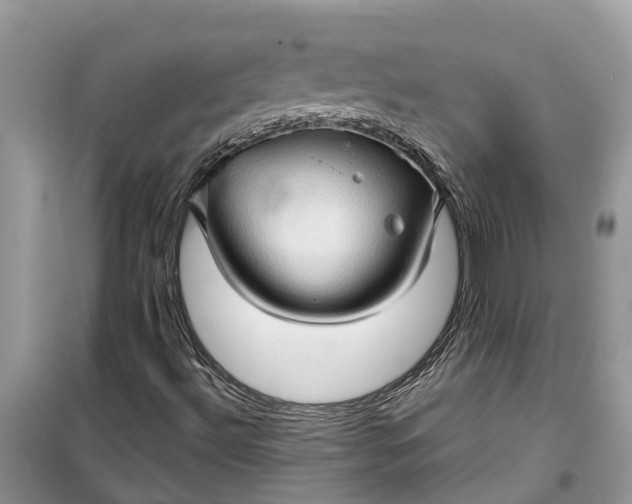 X0000099501492200805291116