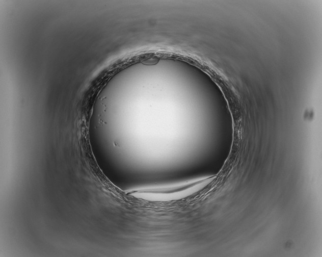 X0000099501495200805291116