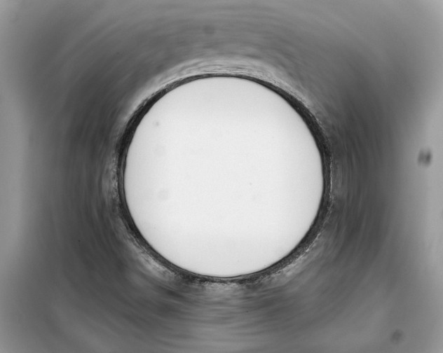 X0000099501498200805291116