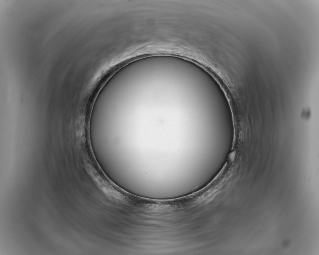 X0000099501499200805291117