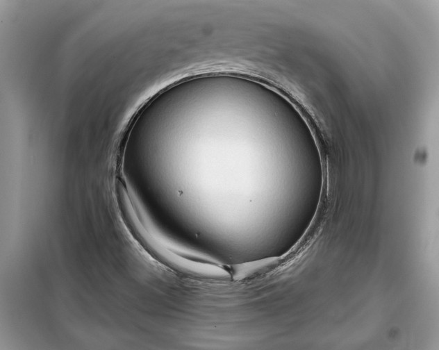 X0000099501500200805291117