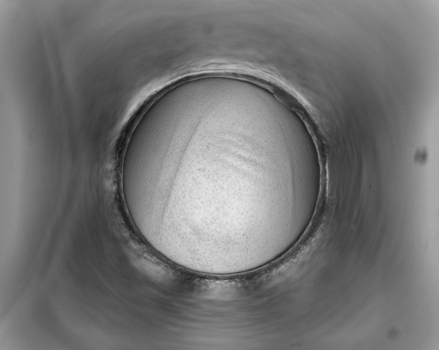 X0000099501501200805291117