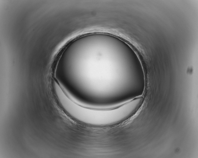 X0000099501502200805291117