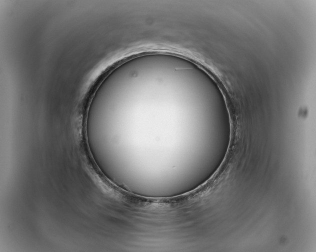 X0000099501503200805291117