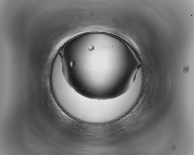 X0000099501504200805291117