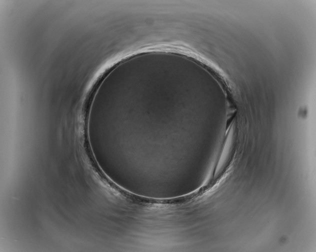 X0000099501506200805291117
